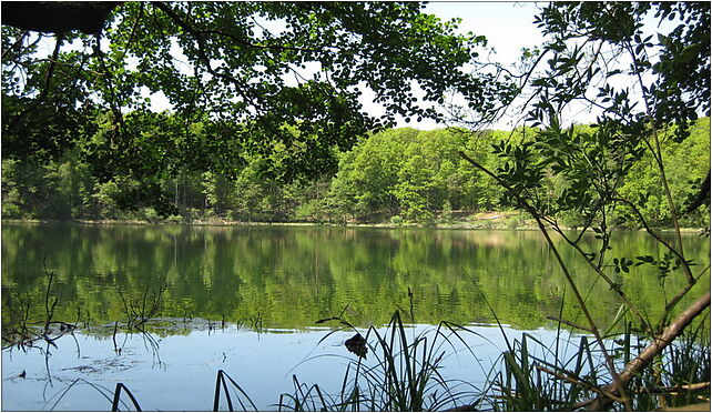Jezioro Kociołek, Dębina, Dębina 62-060 - Zdjęcia