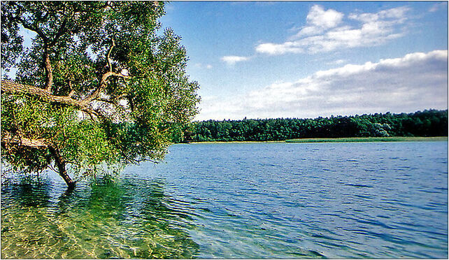 Jezioro Lubikowskie, Lubikówko, Lubikówko 66-340 - Zdjęcia