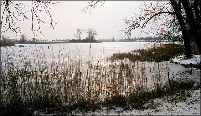 Jezioro Mogilenskie, Stawiska, Stawiska 88-300 - Zdjęcia