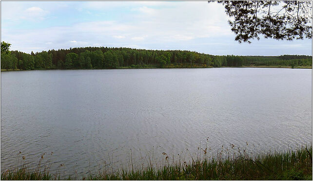 Jezioro Mukrz Tleń 2008 panorama, Sosnowa, Tleń 86-150 - Zdjęcia