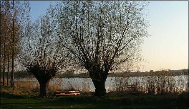 Jezioro Orchowskie, Orchówiec, Orchowo 62-436 - Zdjęcia