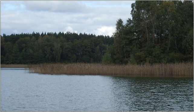 Jezioro Pień, Wągieł, Wągieł 66-218 - Zdjęcia