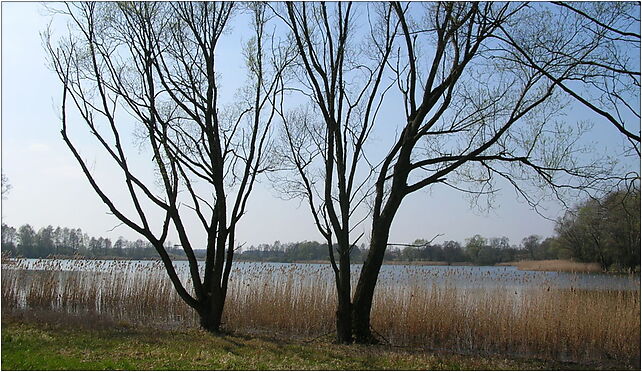 Jezioro Rogowskie 1, Jeziorna, Żurawiniec 88-420 - Zdjęcia
