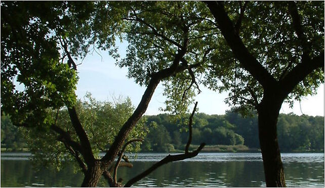 Jezioro Rusalka Poznan, Dąbrowskiego Jana Henryka, Poznań 60-401 - Zdjęcia