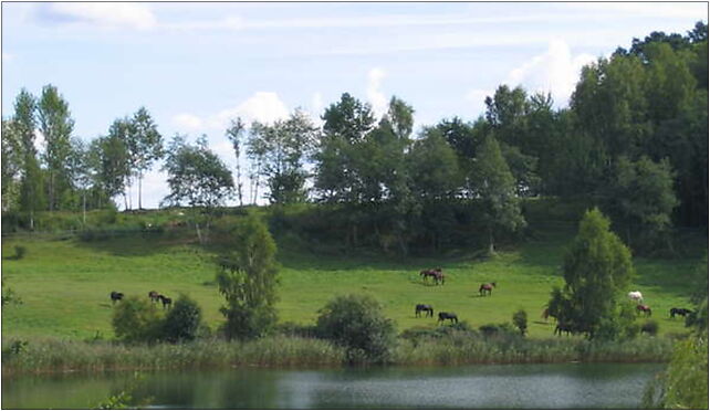 Jezioro Stary Dwor KOS , Dybowskiego Benedykta, Olsztyn 10-723 - Zdjęcia