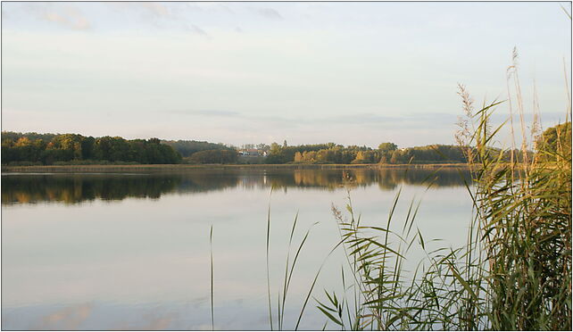 Jezioro Swarzędzkie (1), św. Marcina, Swarzędz 62-020 - Zdjęcia