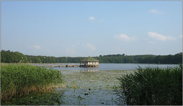Jezioro Szczucze Golczewo1, Spacerowa, Golczewo 72-410 - Zdjęcia