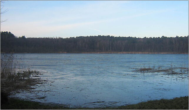 Jezioro Warnowo, Warnowo, Warnowo 72-518 - Zdjęcia