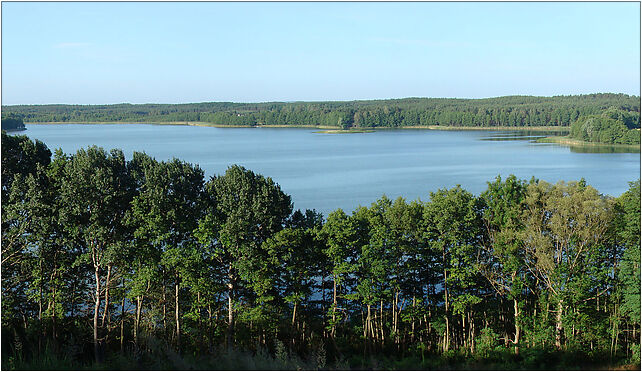 Jezioro chlop wisnia6522, Borowy Młyn, Borowy Młyn 66-330 - Zdjęcia