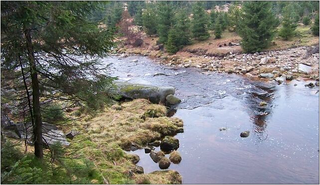 Jizera, pod ústím Kamionku, Jakuszyce-Harrachov, Szklarska Poręba 58-580 - Zdjęcia