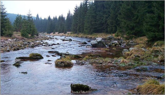 Jizera i Kamionek (03), Jakuszyce-Harrachov, Szklarska Poręba 58-580 - Zdjęcia