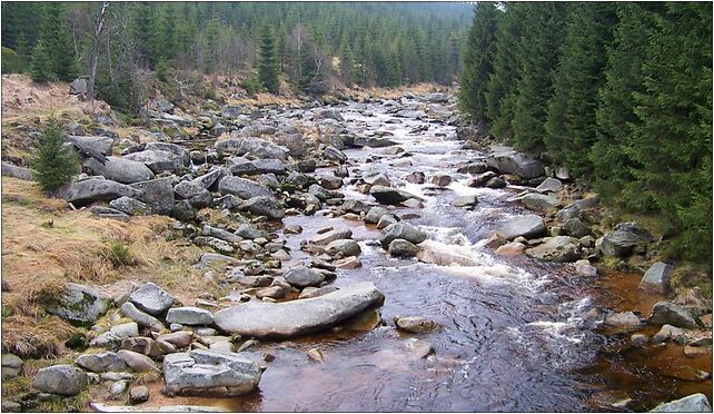 Jizera z Karlovského mostu, proti proudu, Jakuszyce-Harrachov 58-580 - Zdjęcia