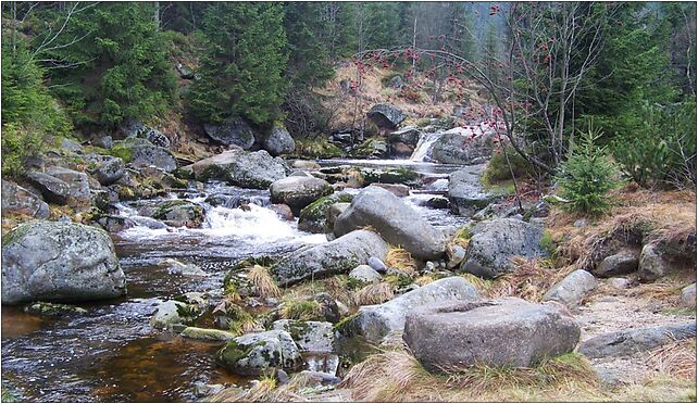 Jizerka, před ústím, Jakuszyce-Harrachov, Szklarska Poręba 58-580 - Zdjęcia