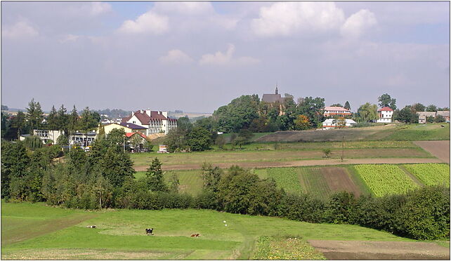 JKRUK 20070920 LUBORZYCA PERSPEKTYWA SZKOLA KOSCIOL 32-010 - Zdjęcia