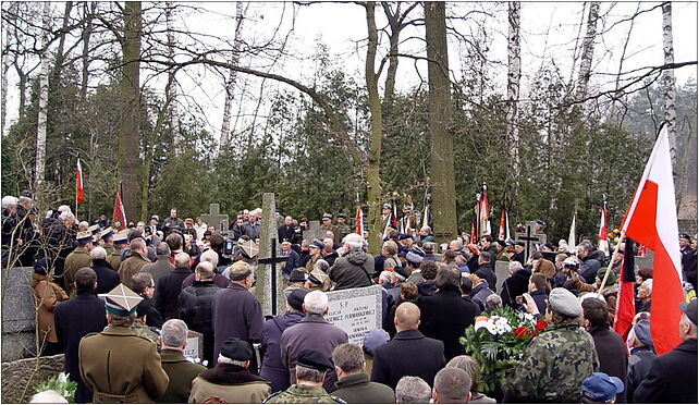 JKRUK 20080221 AHEDA POGRZEB DSC04135, Ogrodowa, Podkowa Leśna 05-807 - Zdjęcia