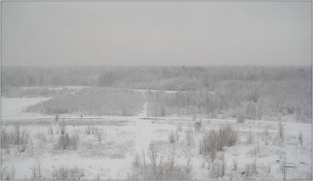 Kabaty Woods Snow, Rolna, Warszawa 02-834 - Zdjęcia