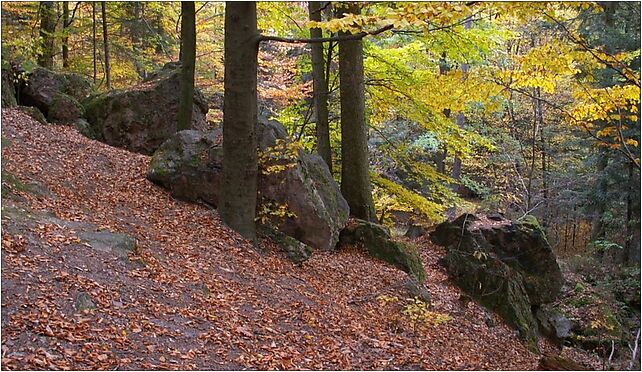 Kamien michniowski 02 ssj 20051023, Orzechówka - Zdjęcia