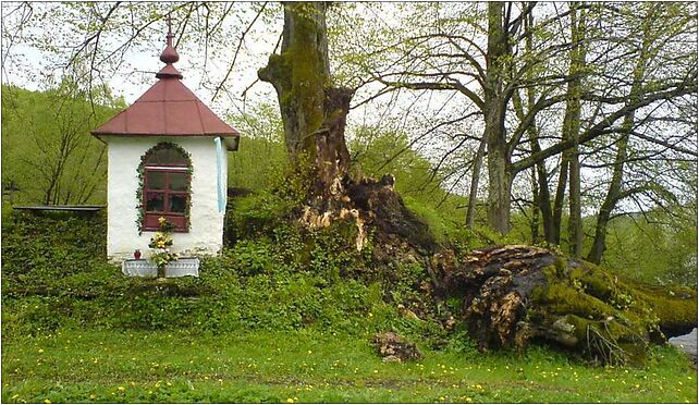 Kapliczka w Kielczawie, Kalnica, Kalnica 38-516 - Zdjęcia