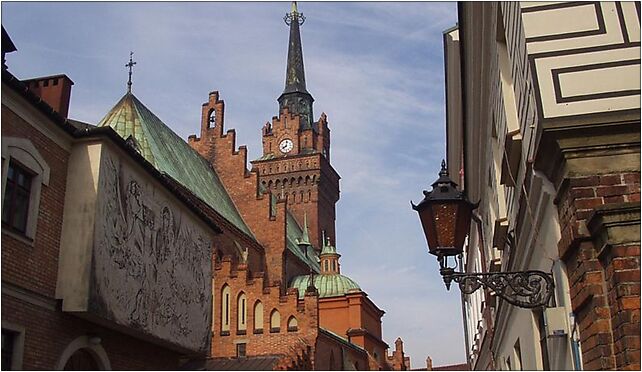 Katedra Tarnow, Rynek 1, Tarnów 33-100 - Zdjęcia