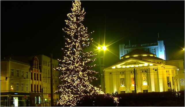 Katowice, Rynek, vánoční strom, Mickiewicza Adama 6, Katowice 40-092 - Zdjęcia