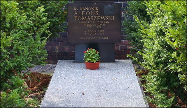 Katowice - Bogucice - Cmentarz - Tomaszewski, Leopolda, Katowice 40-214 - Zdjęcia