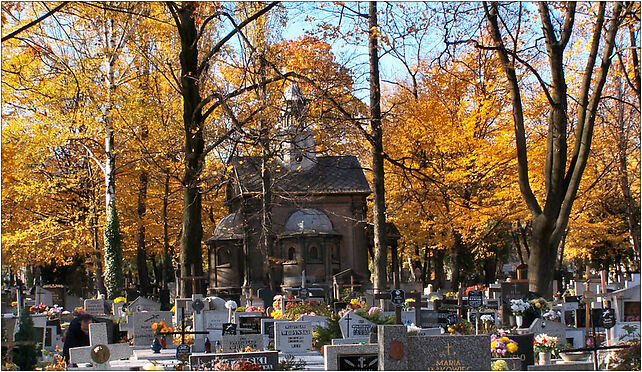 Katowice - Cmentarz przy ul. Francuskiej, Francuska, Katowice od 40-015 do 40-507 - Zdjęcia