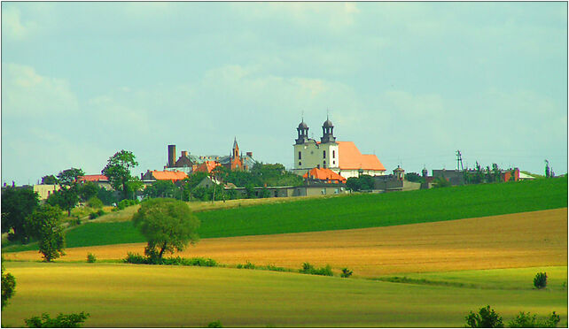 Kcynia, Szewska 20, Karmelita 89-240 - Zdjęcia