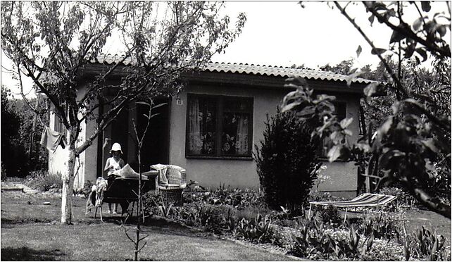 Kierszek allotment gardens 1985, Prawdziwka, Kierszek 05-500 - Zdjęcia