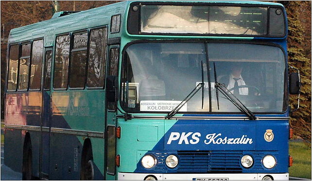 Kołobrzeg - autobus PKS Koszalin, Koszalińska11 31A, Kołobrzeg 78-100 - Zdjęcia