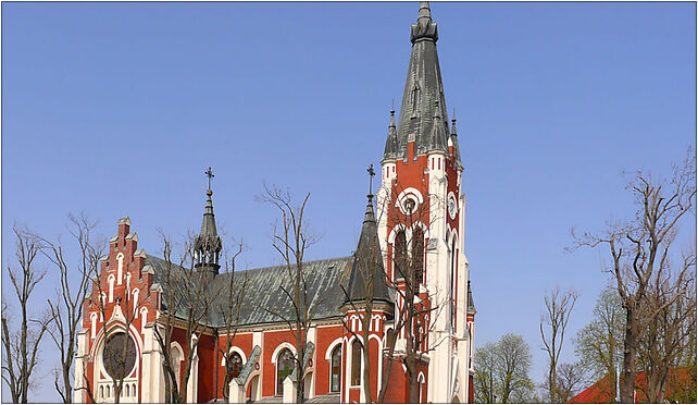 Kościół Św. Wita w Mełgwi, Kościelna, Mełgiew 21-007 - Zdjęcia