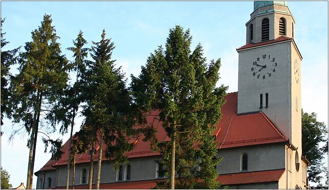 Kościół św. Marcina w Paczynie p, Wiejska, Paczyna 44-120 - Zdjęcia