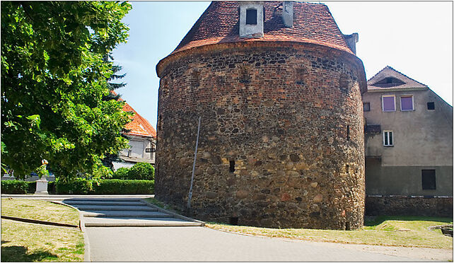 Kożuchów baszta 1, Rynek 12, Kożuchów 67-120 - Zdjęcia