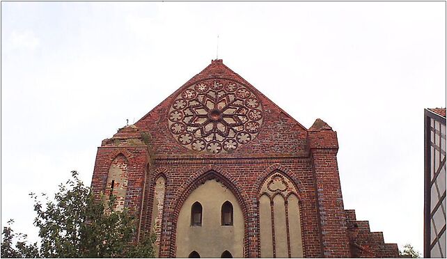 Kolbacz rozeta, Warcisława120, Kołbacz 74-106 - Zdjęcia