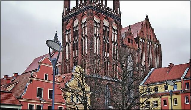 Kolegiata, Bolesława Krzywoustego, Stargard Szczeciński 73-110 - Zdjęcia