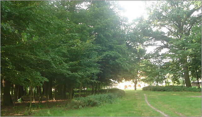 Kolnica park, Marulew, Marulew 62-720 - Zdjęcia