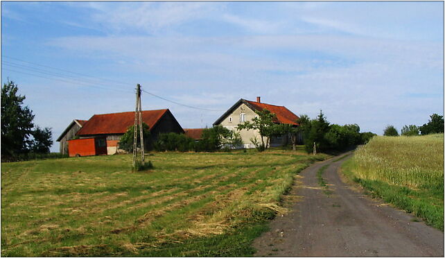 Kolonia Jaroty, Jarocka, Olsztyn 10-699 - Zdjęcia