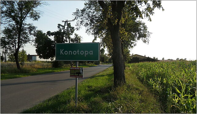 Konotopa, wjazd, Piastowska 62, Konotopa 05-850 - Zdjęcia