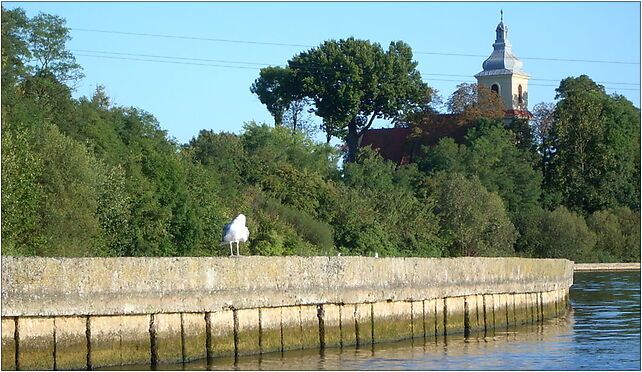 KosciolWasosze, Wąsosze, Wąsosze 62-561 - Zdjęcia