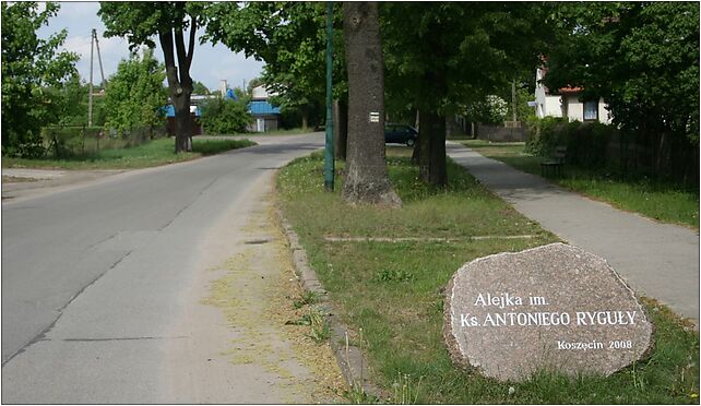 Koszęcin Alejka Antoniego Ryguły 10.05.09 p, Kolejowa 2, Koszęcin 42-286 - Zdjęcia