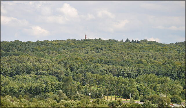 Koszalin Krzyzanka 2010-08, Słupska, Koszalin 75-643 - Zdjęcia
