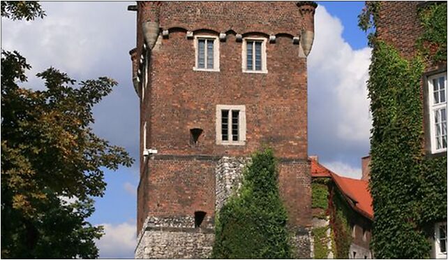 Kraków - Wawel - Thief Tower 01, Zamek Wawel 8, Kraków 31-001 - Zdjęcia