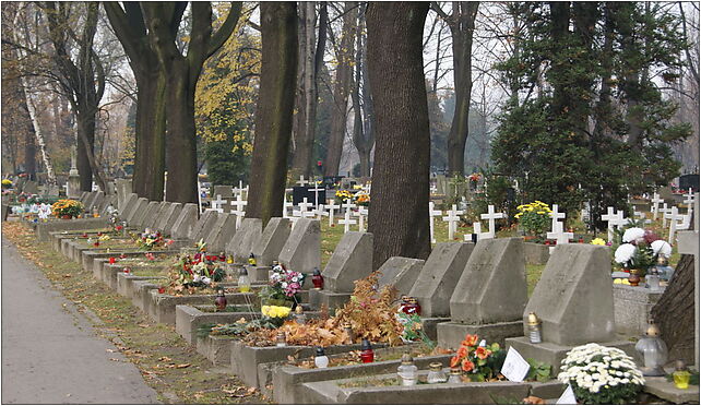 Krakow Military Cemetery,Graves of January Uprising veterans,1 Prandoty street,Krakow,Poland 31-435 - Zdjęcia