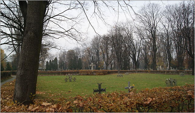 Krakow Military Cemetery, II WW German section,1 Prandoty street,Krakow,Poland 31-435 - Zdjęcia