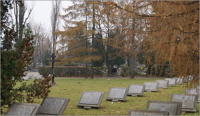 Krakow Military Cemetery, II WW Soviet section,1 Prandoty street,Krakow,Poland 31-435 - Zdjęcia