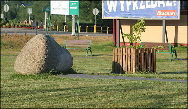 Krokowa - Pope's oak, Żarnowiecka 11, Krokowa 84-110 - Zdjęcia