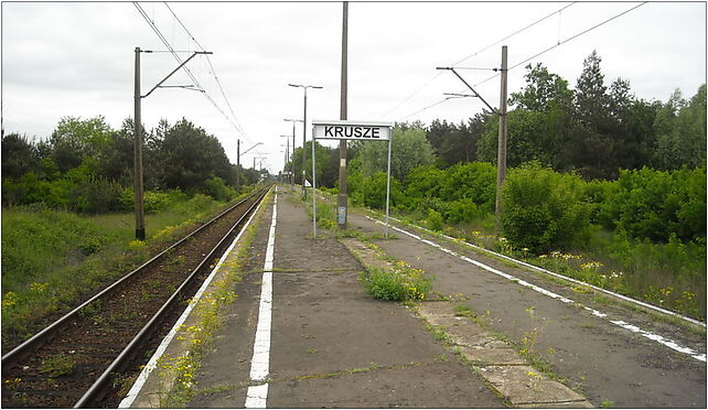 Krusze stacja kolejowa, Peronowa, Krusze 05-240 - Zdjęcia