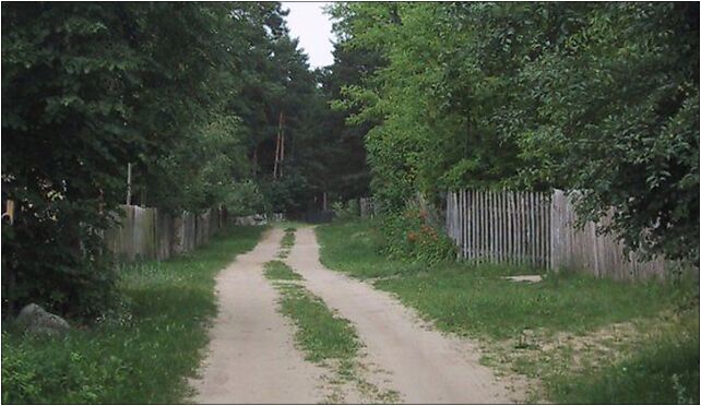 Kruzy (województwo podlaskie) droga, Krzemień-Wieś 08-304 - Zdjęcia