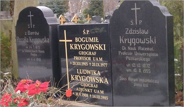 Krygowski bogumil krygowski zdzislaw groby 3, Szczawnicka 2, Poznań 60-471 - Zdjęcia