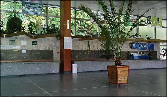 Krynica-Zdrój - wnętrze pijalni (inside the pump room), Zdrojowa 33-380 - Zdjęcia