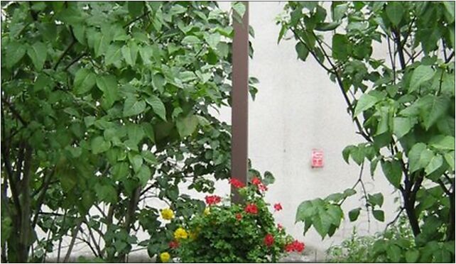 Krzyż Grójecka Warszawa, Grójecka 119, Warszawa 02-120 - Zdjęcia